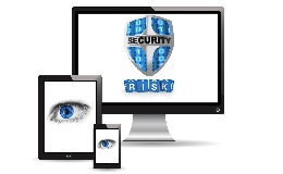 risk and secure systems